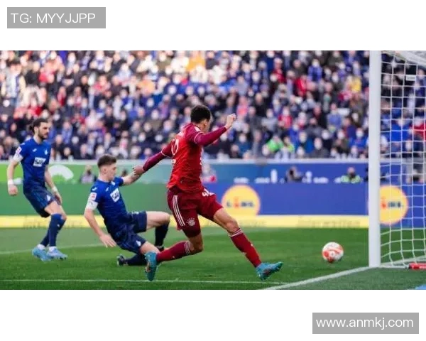 弗赖堡主场迎战霍芬海争夺德甲积分榜关键战役