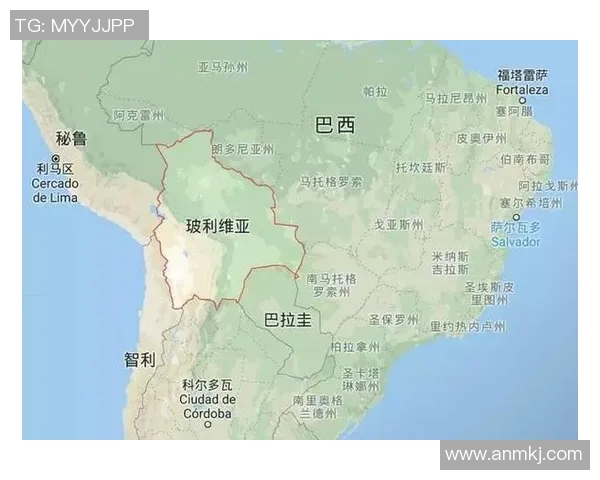 智利与喀麦隆下半场精彩对决分析与战术解读