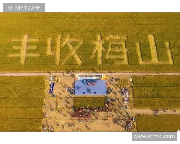 鸟栖砂岩与磐田喜悦的对决分析及赛季表现比较