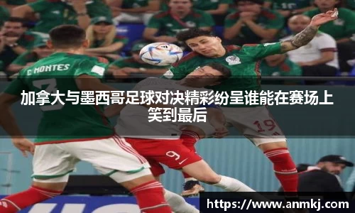 333体育官网