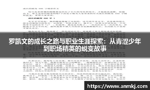 333体育官网